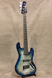 Bacchus LTD WJB-5 Custom Mod